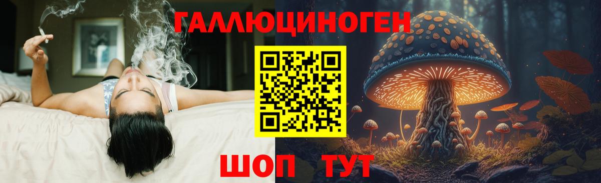 Псилоцибиновые грибы Magic Shrooms Родники